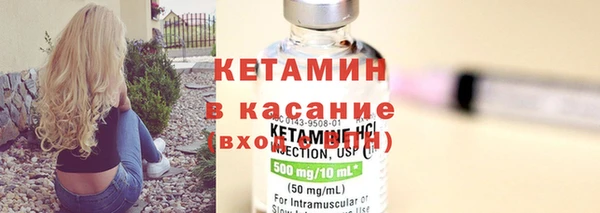 трава Аркадак