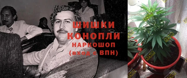 гидра Алзамай