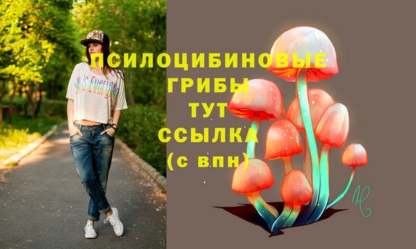 mdpv Алексин
