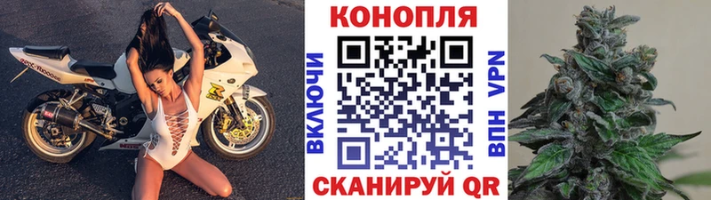 как найти наркотики  Менделеевск  Бошки Шишки марихуана 